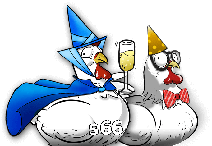 s66